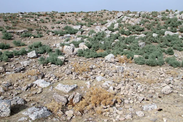 Désert et ruines — Photo