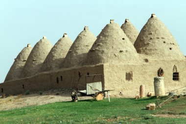 geleneksel evleri