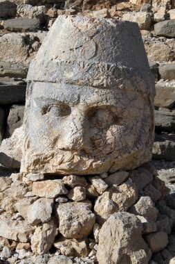 taş kafa