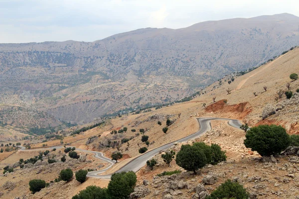 Eğimli yolda — Stok fotoğraf