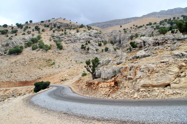 Road nära vulkanen — Stockfoto