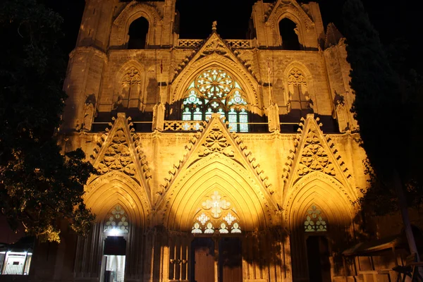 Catedral à noite — Fotografia de Stock