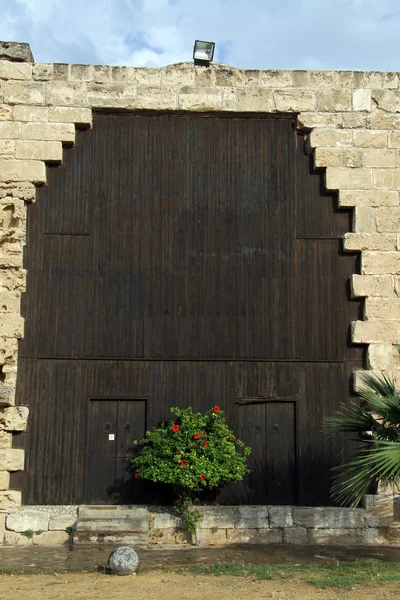 Grande porta de madeira — Fotografia de Stock