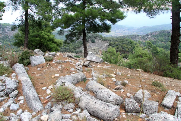 Árboles y ruinas — Foto de Stock