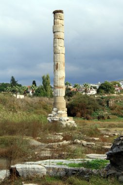 bir sütun