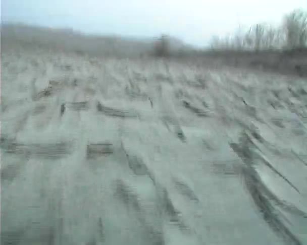 Caminhe no deserto — Vídeo de Stock