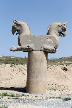 taş kartal