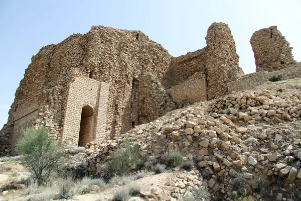 Palazzo di Ardeshir — Foto Stock