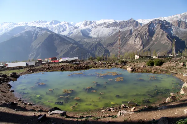 Grüner Teich — Stockfoto