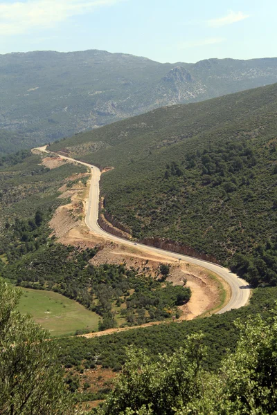 Camino de tierra — Foto de Stock