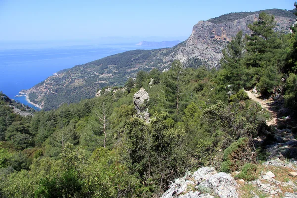 Coast near bay — Stock Photo, Image