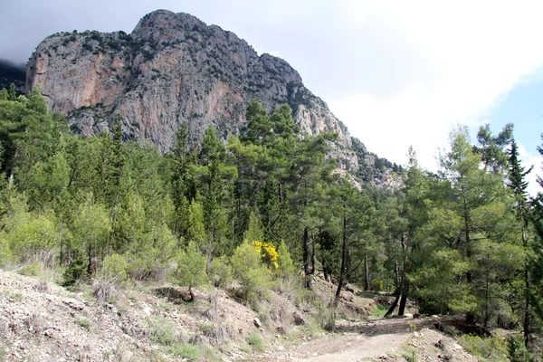 Lycian manera —  Fotos de Stock