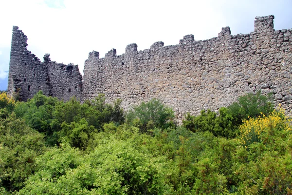 Bush and fortress — Stock Fotó