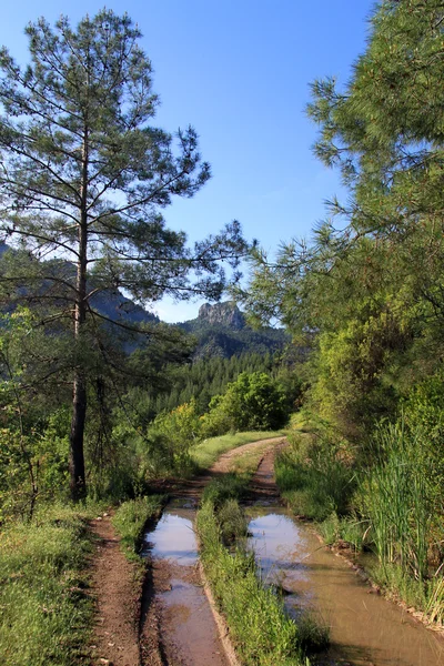 Likya yolu — Stok fotoğraf