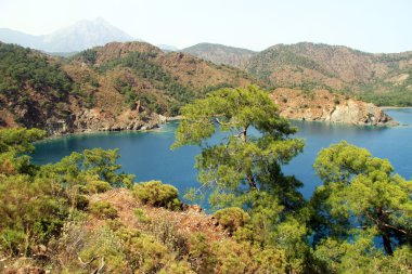 Akdeniz kıyılarında