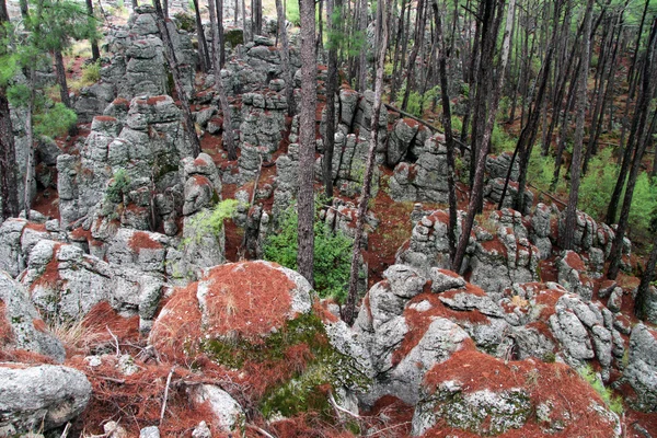 Rocks and trees — Stock Photo, Image