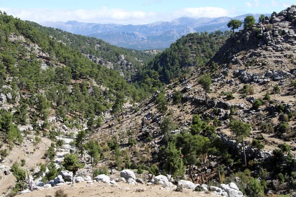 Valley and mountain — Stock Photo, Image