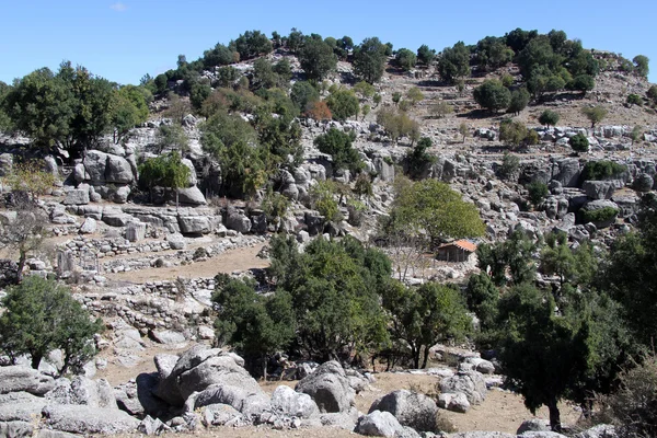 Granja en Turquía — Foto de Stock