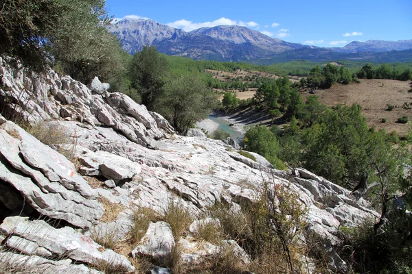 Roca y río — Foto de Stock