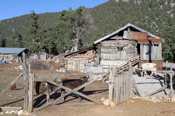 çiftlik evi