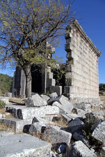 Árbol y templo —  Fotos de Stock