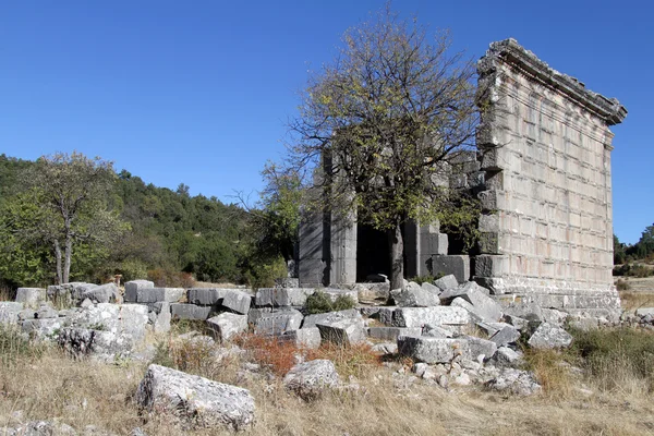 Ruinas del templo — Foto de Stock