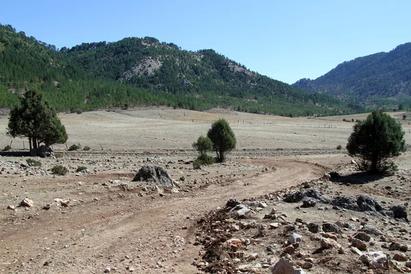 Toprak yol — Stok fotoğraf