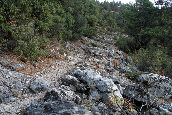 Camino de San Pablo — Foto de Stock