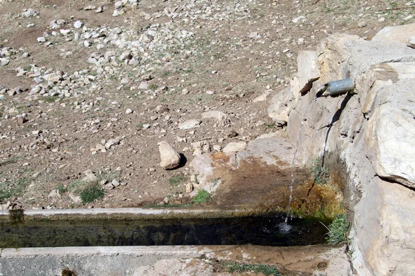 Drinking water — Stock Photo, Image