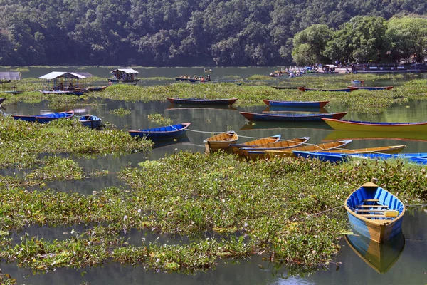 Båtar i pokhara — Stockfoto