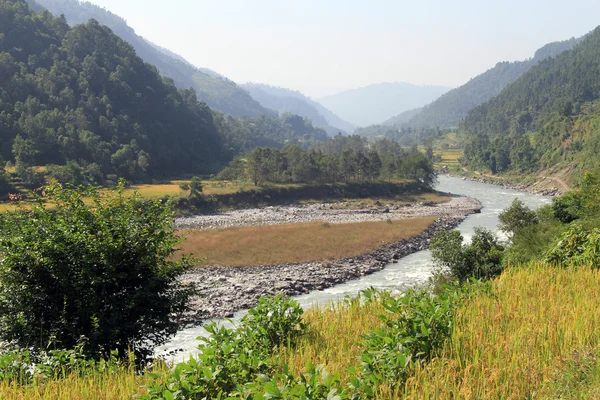 Reis und Fluss — Stockfoto