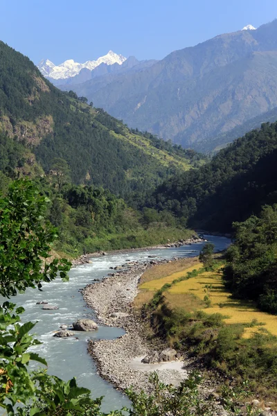 Râul munte — Fotografie, imagine de stoc