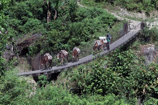 Carovana sul ponte — Foto Stock