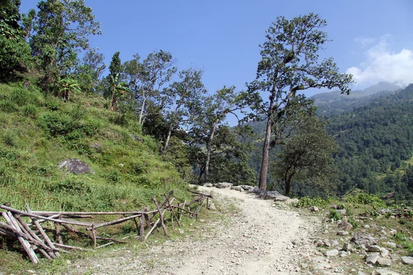 Dirt road — Stock Photo, Image