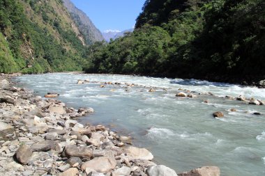 Dağ nehri