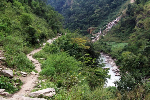 Footpatj en rivier — Stockfoto