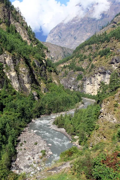 Fluss in den Bergen — Stockfoto