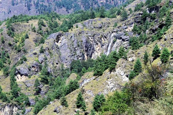 Ağaçları ve kayaları — Stok fotoğraf