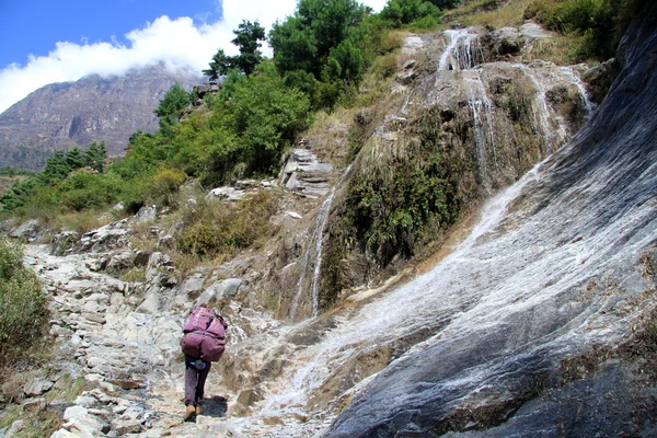 Wasserfall und Träger — Stockfoto