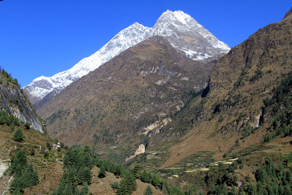 Поля и горы
