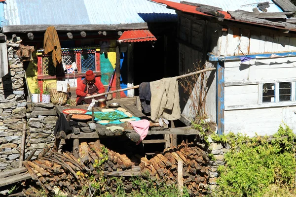 kadın ve çiftlik evi