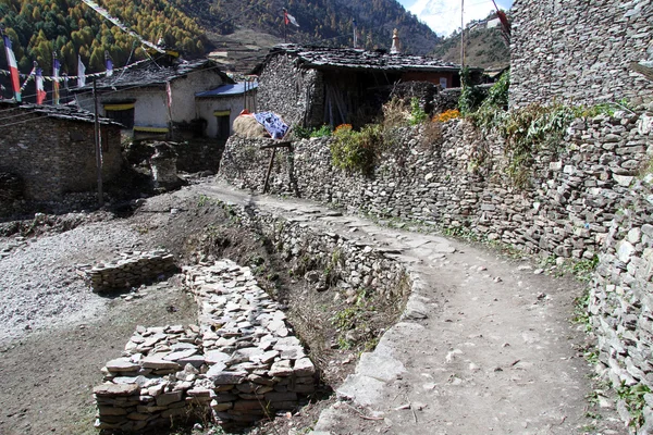 Stone footpath — Stock Photo, Image