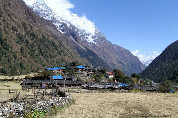 Campo y pueblo — Foto de Stock