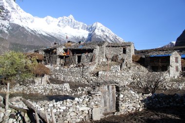 samagoon evleri