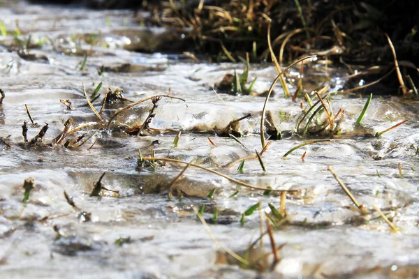 Glace sur l'eau — Photo