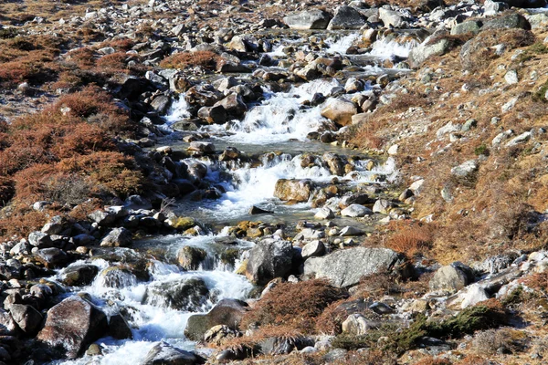 Fiume di montagna — Foto Stock