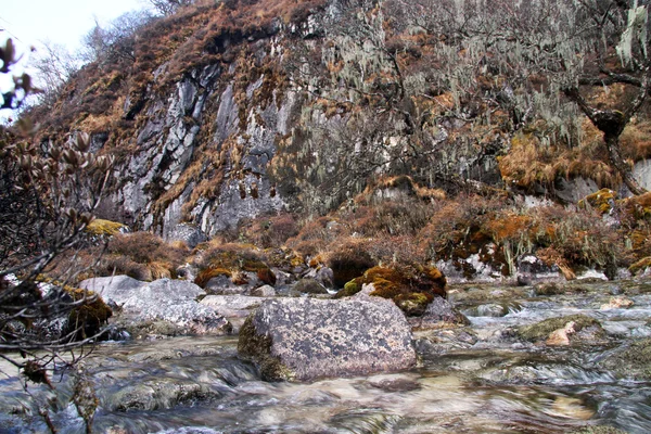 River in mountain — Stock Photo, Image