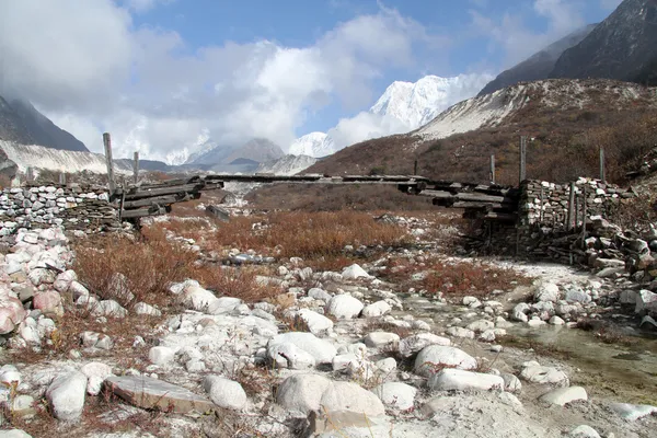 Ponte di legno — Foto Stock