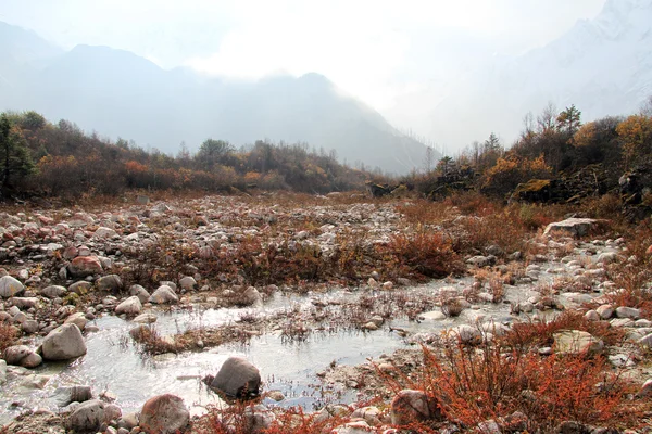 산악 강 — 스톡 사진