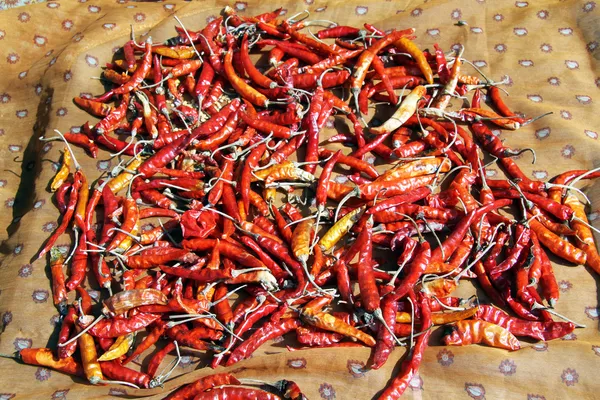 Pimienta roja — Foto de Stock